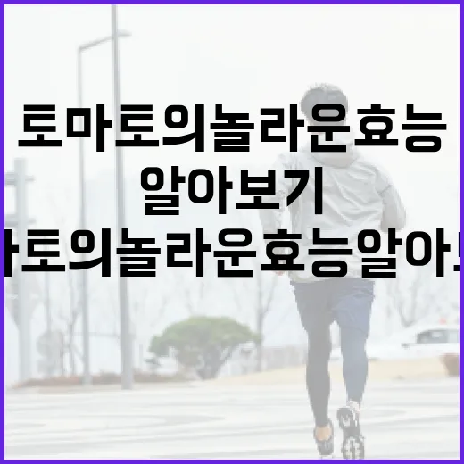 토마토의 놀라운 효능 알아보기 - 요약