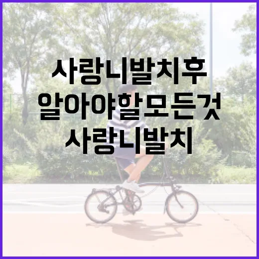사랑니 발치 후 식사할 때 알아야 할 모든 것 - 요약