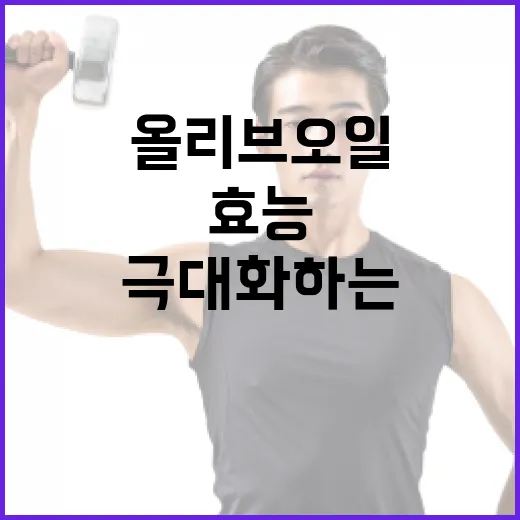 올리브오일의 효능을 극대화하는 방법 - 요약