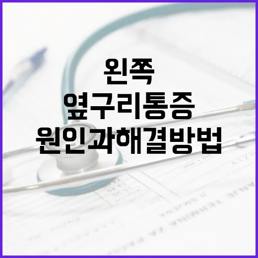 왼쪽 옆구리 통증의 원인과 해결 방법 - 요약