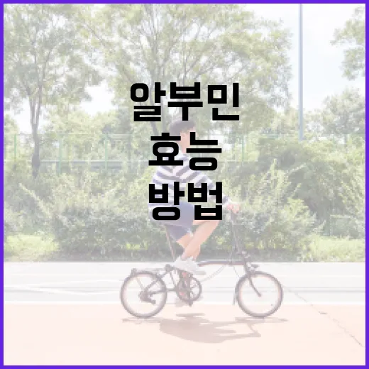 알부민의 효능을 최대한 활용하는 방법 - 요약