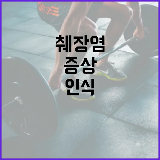 췌장염 증상을 인식하고 관리하는 방법 - 요약
