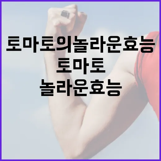 토마토의 놀라운 효능을 최대한 활용하는 방법 - 요약
