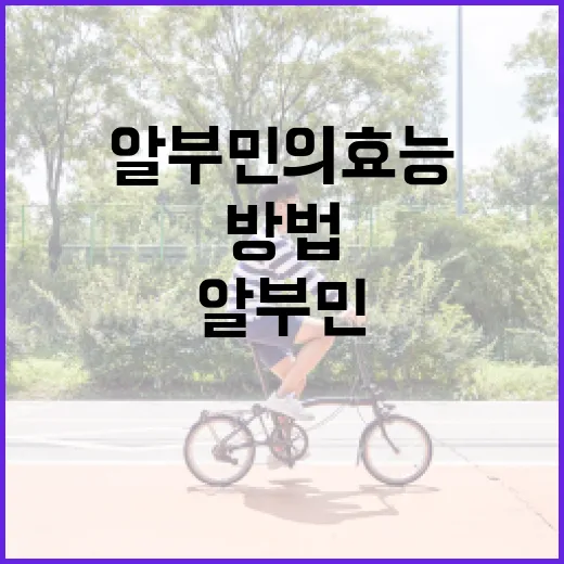 알부민의 효능을 극대화하는 방법 - 요약