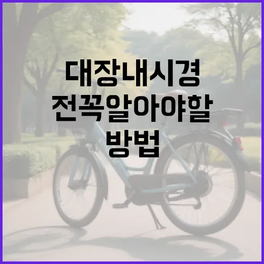 대장내시경 전 꼭 알아야 할 음식 섭취 방법 - 요약