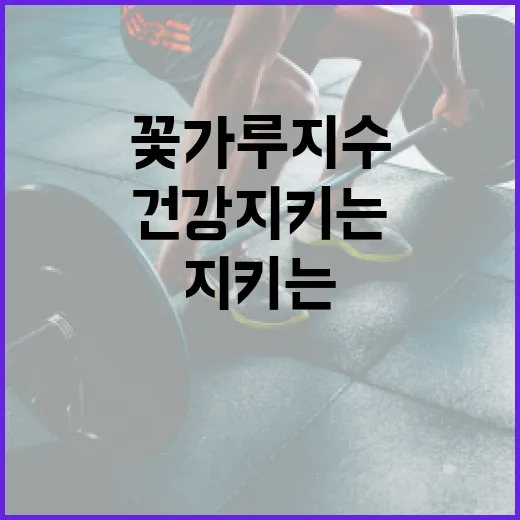 꽃가루지수 이해하고 건강 지키는 방법 - 요약