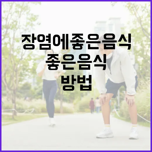 장염에 좋은 음식을 선택하는 방법 - 요약