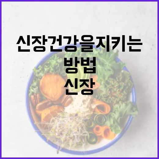 신장 건강을 지키는 음식 선택 방법 - 요약