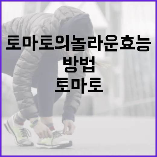 토마토의 놀라운 효능을 활용하는 방법 - 요약