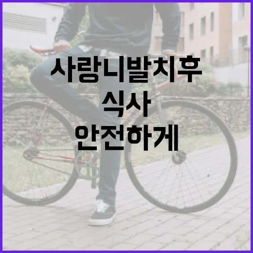 사랑니 발치 후 안전하게 식사하는 방법 - 요약