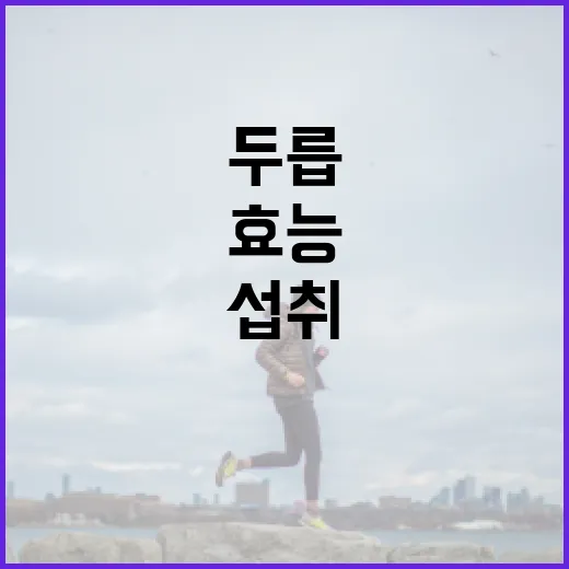 두릅의 효능과 건강하게 섭취하는 방법 - 요약