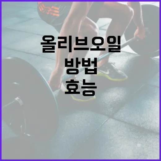 올리브오일의 효능을 최대한 활용하는 방법 - 요약