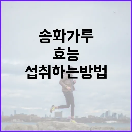 송화가루의 건강 효능과 올바르게 섭취하는 방법 - 요약