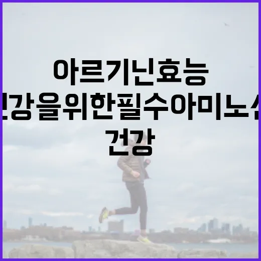 아르기닌 효능 알아보기: 건강을 위한 필수 아미노산 활용법 - 요약