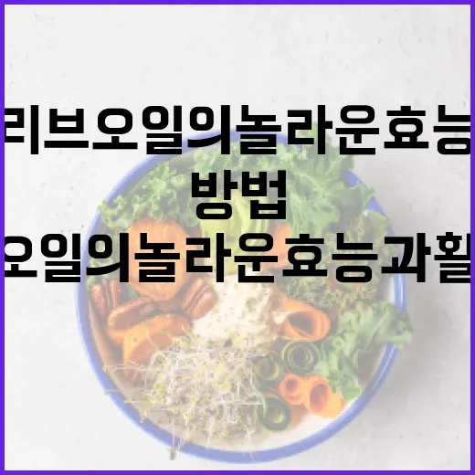 올리브오일의 놀라운 효능과 활용 방법 - 요약