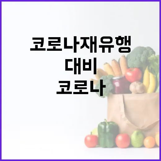코로나 재유행을 대비하는 방법: 건강과 안전을 지키려면 이렇게 - 요약