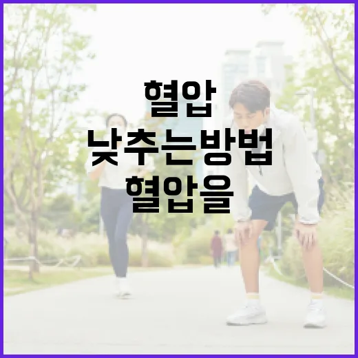 혈압을 건강하게 낮추는 방법 - 요약