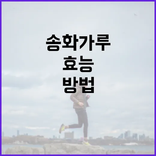 송화가루의 건강 효능과 활용 방법 - 요약