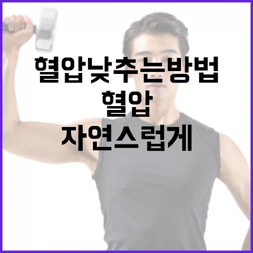 자연스럽게 혈압 낮추는 방법 - 요약