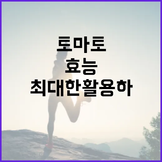 토마토의 건강 효능을 최대한 활용하는 방법 - 요약