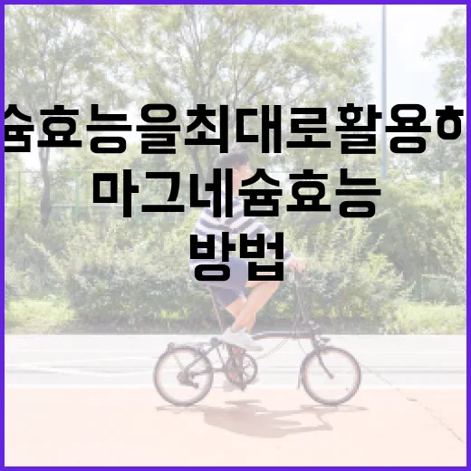 마그네슘 효능을 최대로 활용하는 방법 - 요약