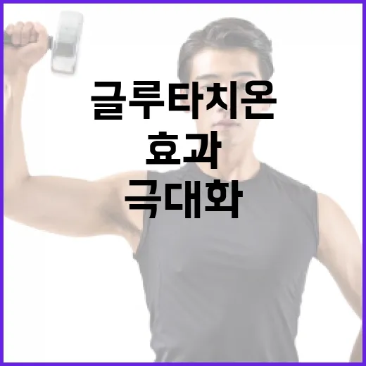글루타치온 효과를 극대화하는 방법 - 요약
