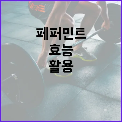 페퍼민트 효능을 최대한 활용하는 방법 - 요약