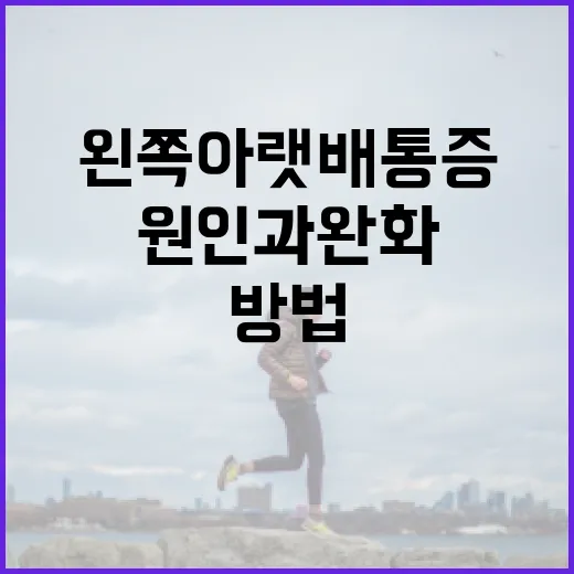 왼쪽 아랫배 통증의 원인과 완화 방법 - 요약