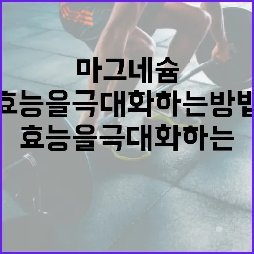 마그네슘 효능을 극대화하는 방법 - 요약