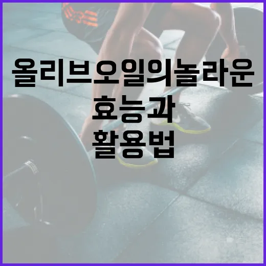 올리브오일의 놀라운 효능과 활용법 - 요약