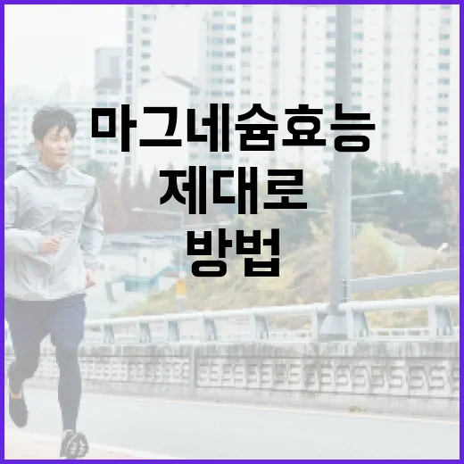 마그네슘 효능을 제대로 이해하는 방법 - 요약
