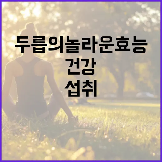 두릅의 놀라운 효능과 건강하게 섭취하는 방법 - 요약