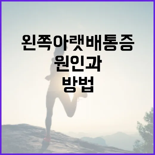 왼쪽 아랫배 통증을 완화하는 방법: 원인과 관리법 알아보기 - 요약