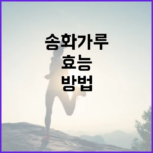 송화가루의 효능과 활용 방법 - 요약
