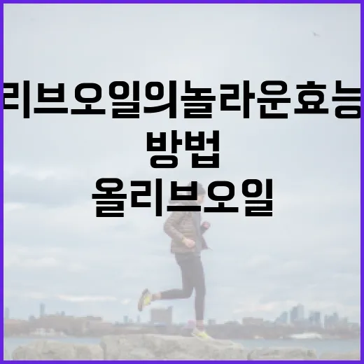 올리브오일의 놀라운 효능과 사용 방법 - 요약