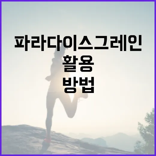 파라다이스그레인을 활용하여 건강을 개선하는 방법 - 요약