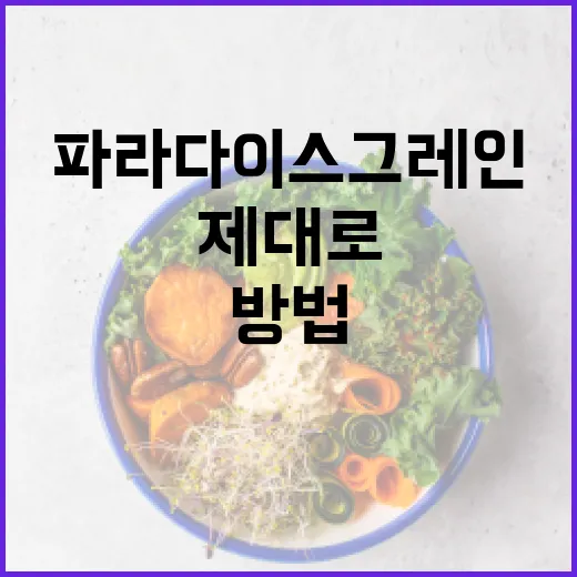 파라다이스그레인을 제대로 활용하는 방법 - 요약