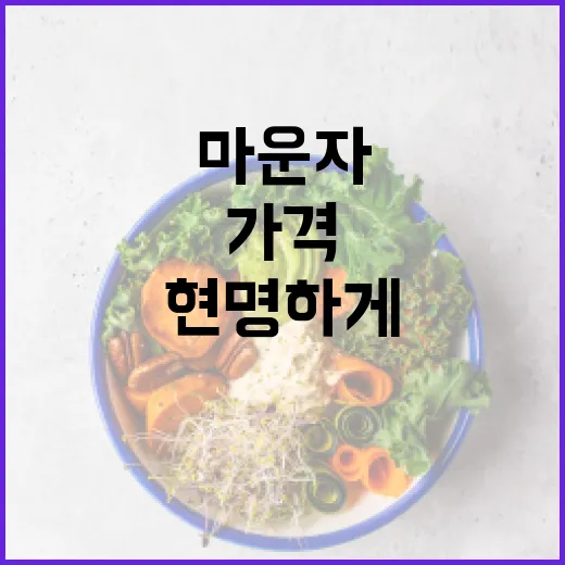 마운자 가격에 대한 모든 것: 현명하게 선택하는 방법 - 요약