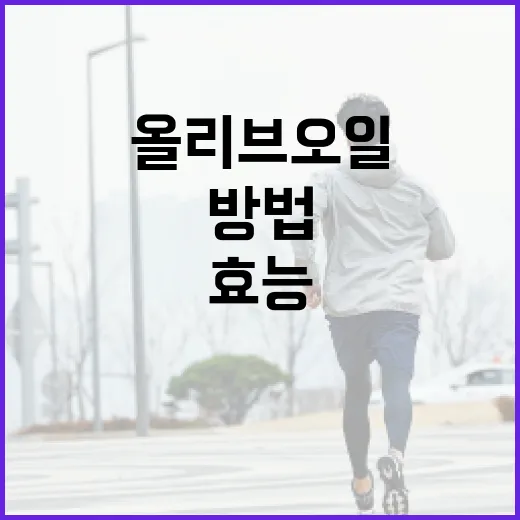 올리브오일의 효능과 건강에 활용하는 방법 - 요약