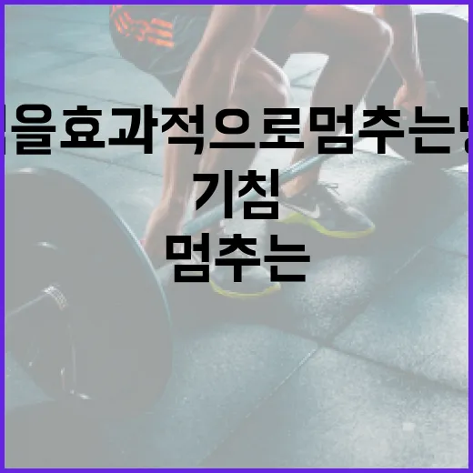 기침을 효과적으로 멈추는 방법 - 요약