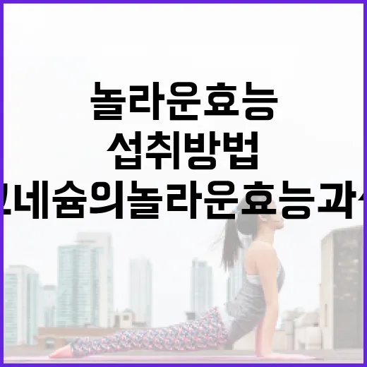 마그네슘의 놀라운 효능과 섭취 방법 - 요약