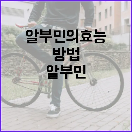 알부민의 효능을 극대화하는 방법 - 요약