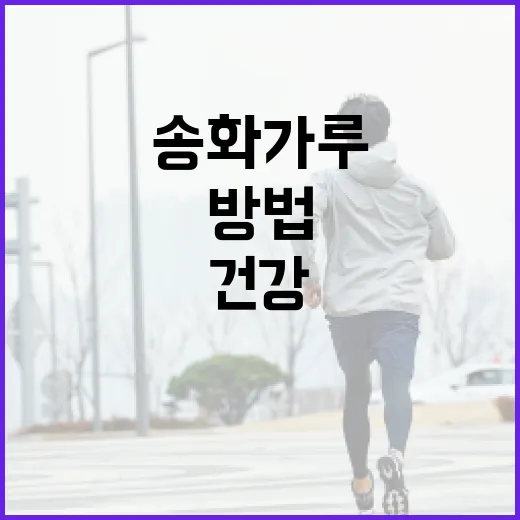 송화가루의 건강 효과와 활용 방법 - 요약