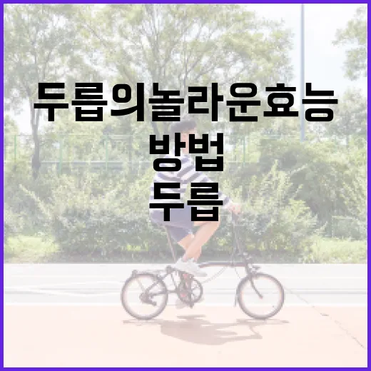 두릅의 놀라운 효능을 극대화하는 방법 - 요약