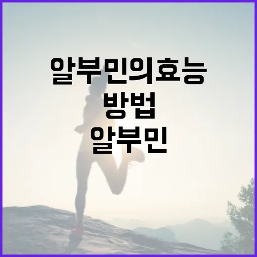 알부민의 효능을 극대화하는 방법 - 요약