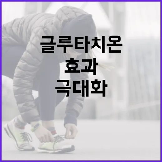 글루타치온 효과를 극대화하는 방법 - 요약
