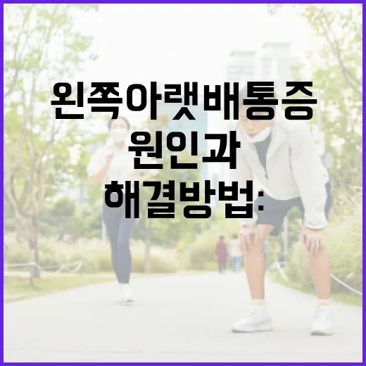 왼쪽 아랫배 통증 해결 방법: 알아야 할 원인과 치료법 - 요약