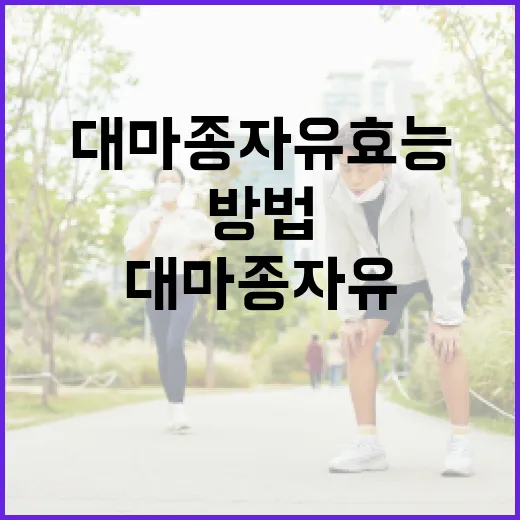 대마종자유 효능을 극대화하는 방법 - 요약