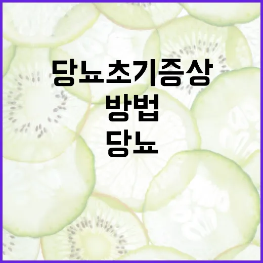 당뇨 초기증상을 확인하는 방법 - 요약