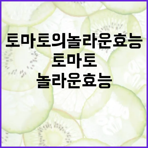 토마토의 놀라운 효능을 최대한 활용하는 방법 - 요약